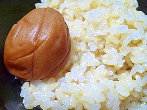 圧力鍋で炊く玄米ご飯 浸け置きなしのお急ぎ